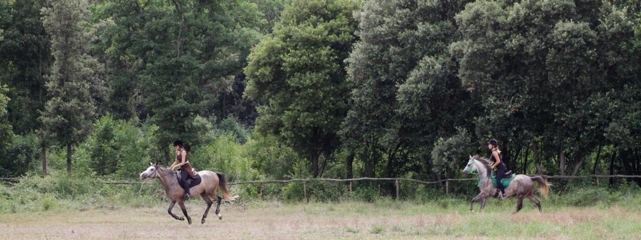 Willa Casa Pharus Bale Zewnętrze zdjęcie